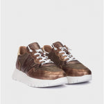 Wonders Odisei 91 Bronze & Gold Trainer