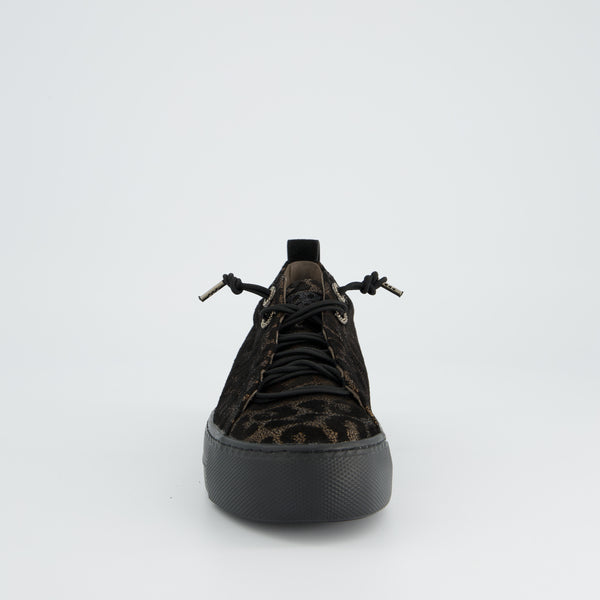 Paul Green Glossy Leo Bronze Trainer
