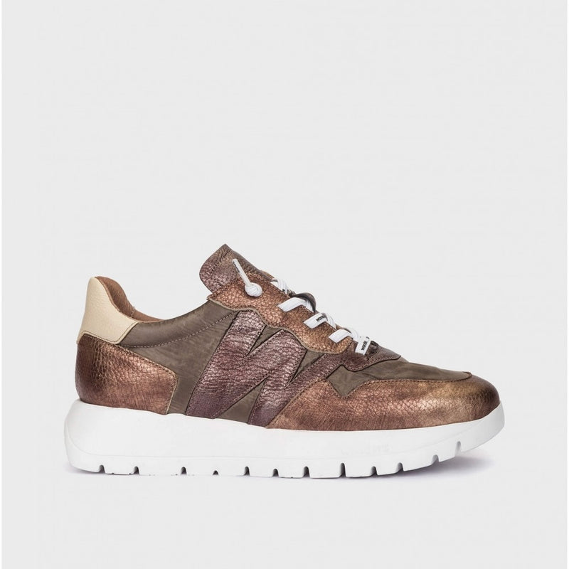 Wonders Odisei 91 Bronze & Gold Trainer