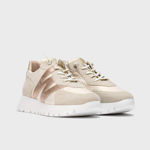 Wonders Oslo Trainer