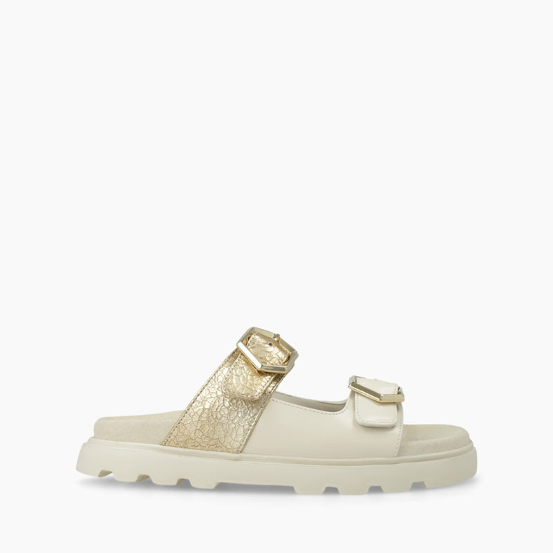 LODI Cream & Gold Slider