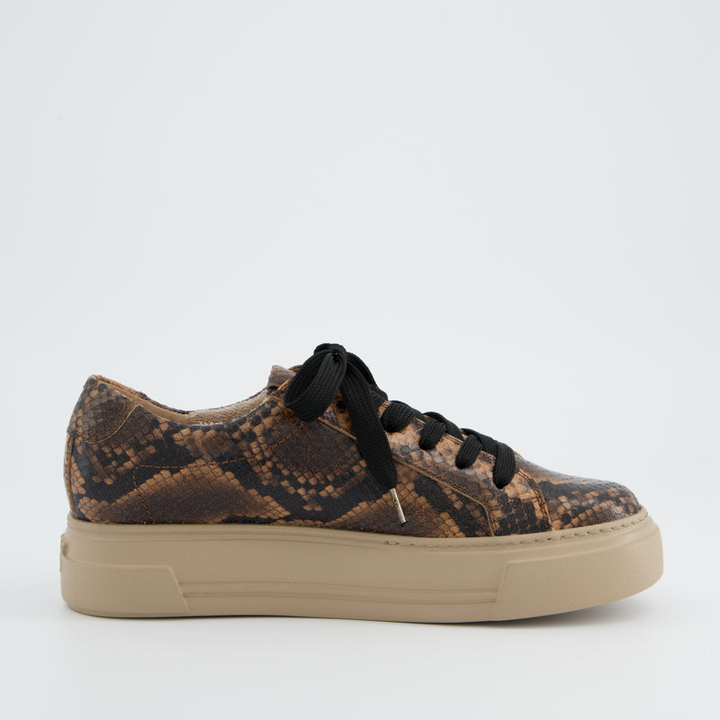 Paul Green Python Print Leather Trainer